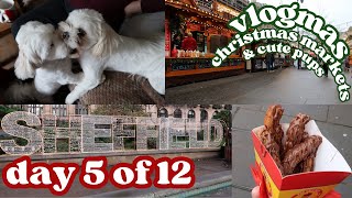 Christmas Markets and Cute Dogs (Vlogmas Day 5/12) | Isobel Jones