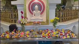 Sacred Bodhi Puja in Sri Lanka