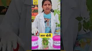 जल खेती hydroponics #viralvideo #ytshorts #hydroponics