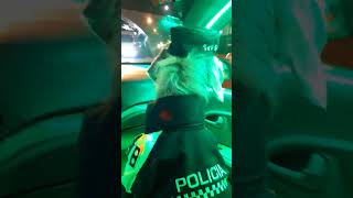 Un Taxi en Bogotá con un copiloto perruno!!!!