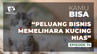 Bisnis Memelihara Kucing Hias | KAMU BISA Episode 74