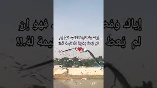 إياك ومطاردة الحب ..