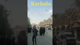 🕌Karbala #islamicshorts # #guidance #lifeinislam