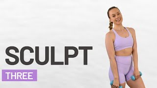 Full Body SCULPT Plan - WORKOUT 3