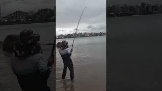 Acho que o Pescador encontrou uma Encrenca na Pescaria de Praia #fishing #pescaria #shorts