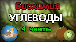 Биохимия. Лекция 50. Углеводы. Глюкозо-лактатный цикл (Кори). Глюконеогенез. Пентозофосфатный путь.