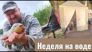 Недельная рыбалка дикарем! Яузское ВДХР!