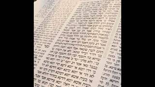 לימוד גמרא בניגון ישיבתי. Studying Gemara in yeshiva sing