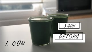 3 Günlük Detoks | 1. GÜN