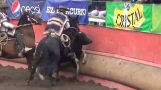 Caballero y Romario campeones criadores P. Hurtado