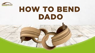 HOW TO BEND DADO  Technique (It’s Amazing)