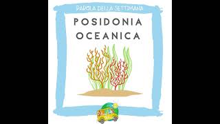 Posidonia Oceanica #20settembre2021