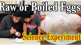 Raw Egg Vs Boiled Egg | Science Experiment to know Boiled or Raw Egg | Telugu Vlogs in USA