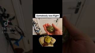 Somebody Once Told Me, Was Right Must Watch #short #funny #meme #ball #bounce #dankcompilation