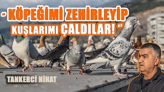 KÖPEĞİMİ ZEHİRLEYİP KUŞLARIMI ÇALDILAR: TANKERCİ NİHAT