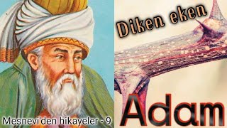 Diken eken adam / Mesnevi'den hikayeler