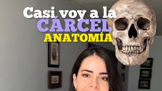 StoryTime de como casi voy a la cárcel por ser estudiante de medicina. #Anatomia #EstudianteMedicina