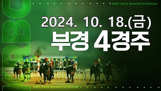 (부산) 2024.10.18 4경주