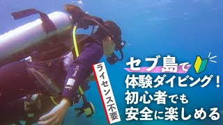 セブ島で体験ダイビング！ライセンス不要で初心者でも安全に楽しめる。🔰