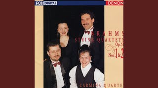 String Quartet No. 1 in C Minor, Op. 51: IV. Allegro