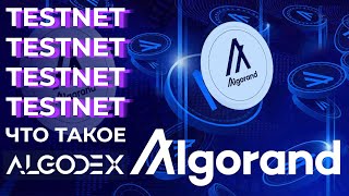 TESTNET ALGODEX Как участвовать? l Криптовалюта Algo и Блокчейн Algorand l Кошелек Algorand Wallet