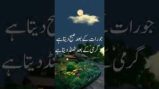 Apnay Dil Ko Mazboot Banalo #urduquoteslines |#allahquotes |#yaqeenurdu |#statusvideoforwhatsapp