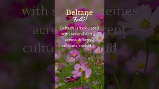 Beltane facts! #lightwarriorslegion #paganism #beltane