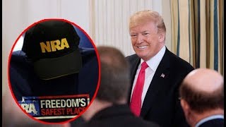 Trump tells senators 'You're afraid of the NRA'