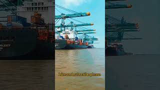 || Jawarlal Neharu Port Mumbai ||#shorts #youtubeshorts #short