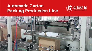 Automatic Carton Case Box Tape Sealing Opening Packing Production Line, Carton Packing Machine