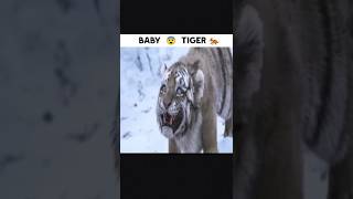 baby 🐅tiger 🐅😱 #shortfilm #shorts horror short film