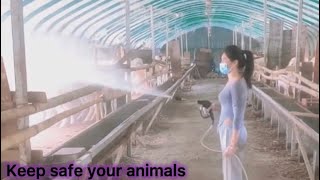 Don’t harm your animals | External Parasites Spay for goats | important Goats & shed care management