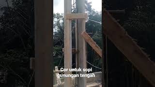 cor sopi atap rumah