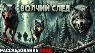 ВОЛЧИЙ СЛЕД | Расследование НКВД | Таёжные Истории