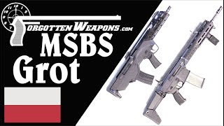 MSBS Grot: The Complete History of Poland's New Army Rifle