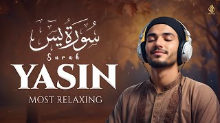 Surah Yasin (Yaseen) سورة يس | Marvelous Emotional Heart Touching Voice | WQ