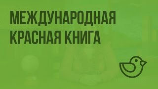 Международная Красная книга. Видеоурок по окружающему миру 4  класс