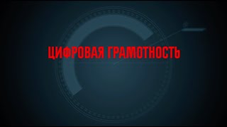 Цифровая грамотность. 1 выпуск. Основы безопасности в Интернете.