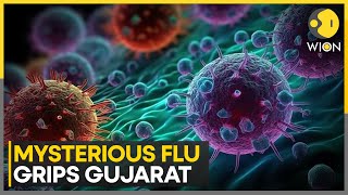 India: Mysterious flu in Gujarat kills at least 13 within days of heavy rains | English News | WION