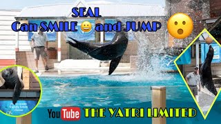 JUMPING SEA LION !  Seal Show | Taronga Zoo Sydney Australia | Sea Lion | Sea Lion can Smile 😀