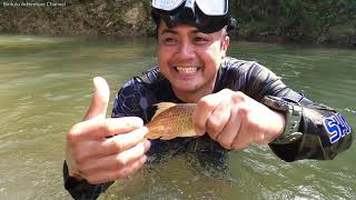 Menyelam, Memukat Ikan Di Kawasan Hutan Tebal