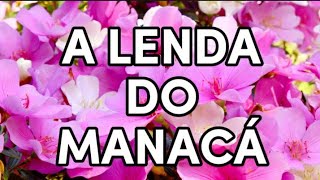 A LENDA DO MANACÁ! NUMA TERRA BEM DISTANTE AS FLORES ENCANTAVAM A TODOS!