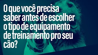 O que você precisa saber antes de escolher o tipo de equipamento de treinamento pro seu cão?