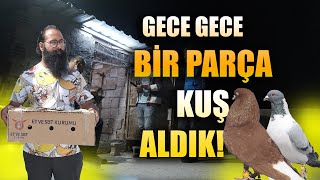 GECE GECE BİR PARÇA KUŞ ALDIK: İSKENDERUN