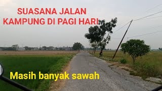 Suasana pagi menyusuri jalan kampung di Bekasi || pemandangan sawah