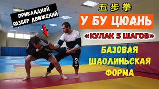 "ШАОЛИНЬСКИЙ КУЛАК 5 ШАГОВ". Применение за 5 минут.