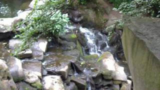 part 4  the cascade virgina waters HD