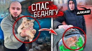 НАШЕЛ на ПОМОЙКЕ БРОШЕННОГО КОТЕНКА и СПАС от ХОЗЯЕВ ГОПНИКОВ