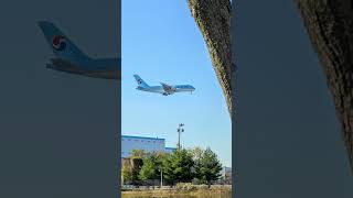 #shorts Korean Air A380-300 8K