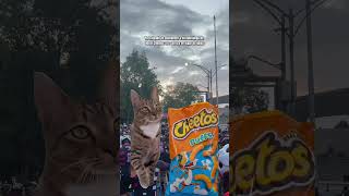 Quiero Cheetos le digo a la nutrióloga #ciclismomexico #ciclismolatino #nutriólogo